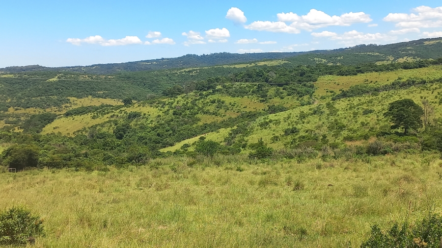 Commercial Property for Sale in East London Rural Eastern Cape